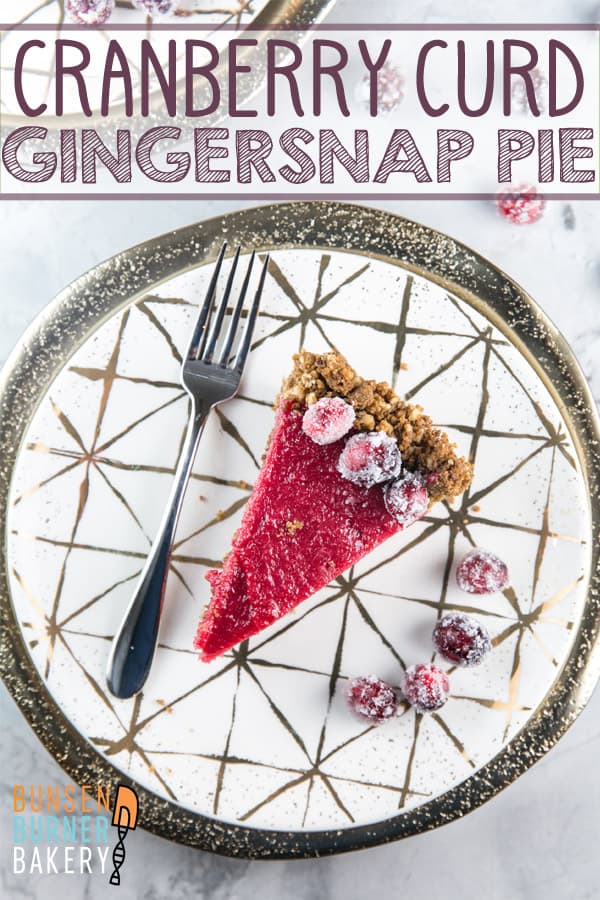 Cranberry Curd Pie with Gingersnap Crust: A silky-smooth cranberry curd in a gingersnap hazelnut crust. The perfect holiday pie! #bunsenburnerbakery #cranberrypie #pie #fruitcurd
