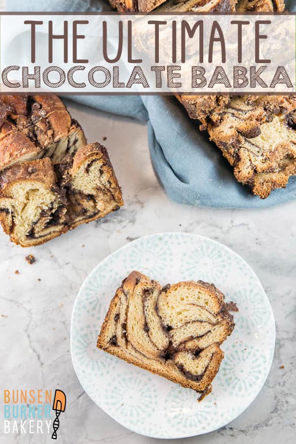 Best Chocolate Babka: Rich, butter yeast bread with swirls of a chocolate-cinnamon filling and covered with a streusel topping, this chocolate babka is even better than one from a classic Jewish deli. 