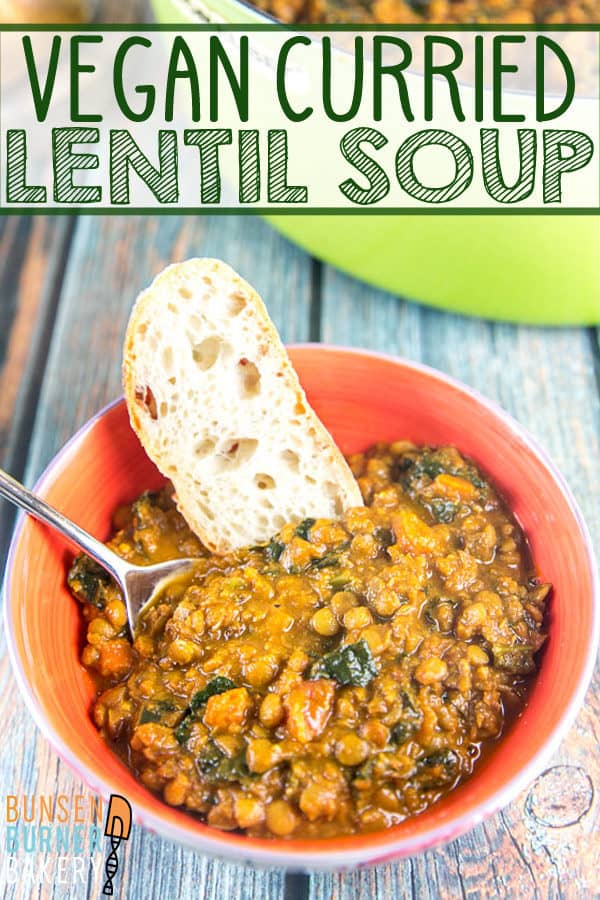 Vegan Curried Lentil Soup: Thick and creamy, this lentil soup is bursting with flavor and made entirely without cream, making it perfect to freeze and store for later. 