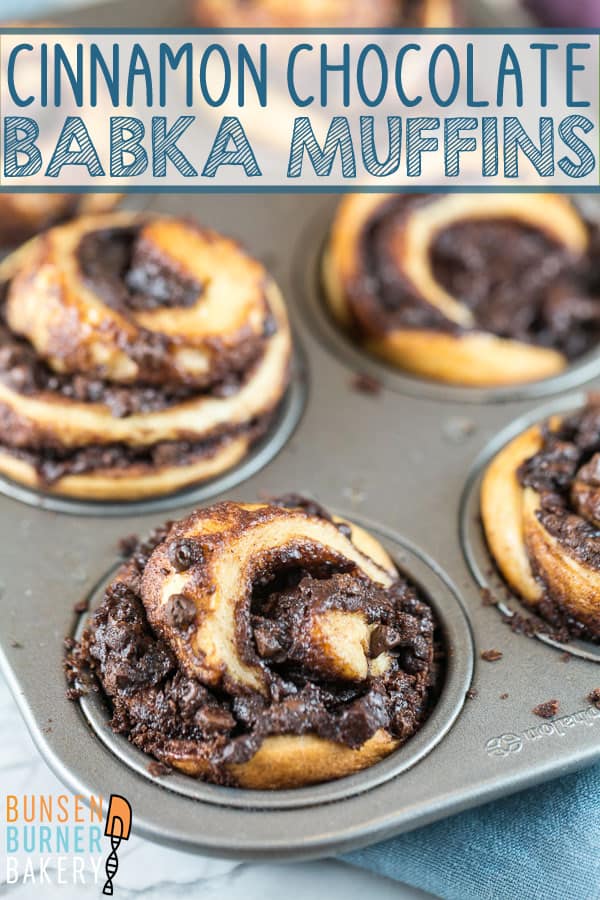 Cinnamon Chocolate Babka Muffins: A rich, buttery yeast dough, filled with beautiful swirls of chocolate and baked in individual sizes in a muffin tin. Same great babka taste, baked in half the time!