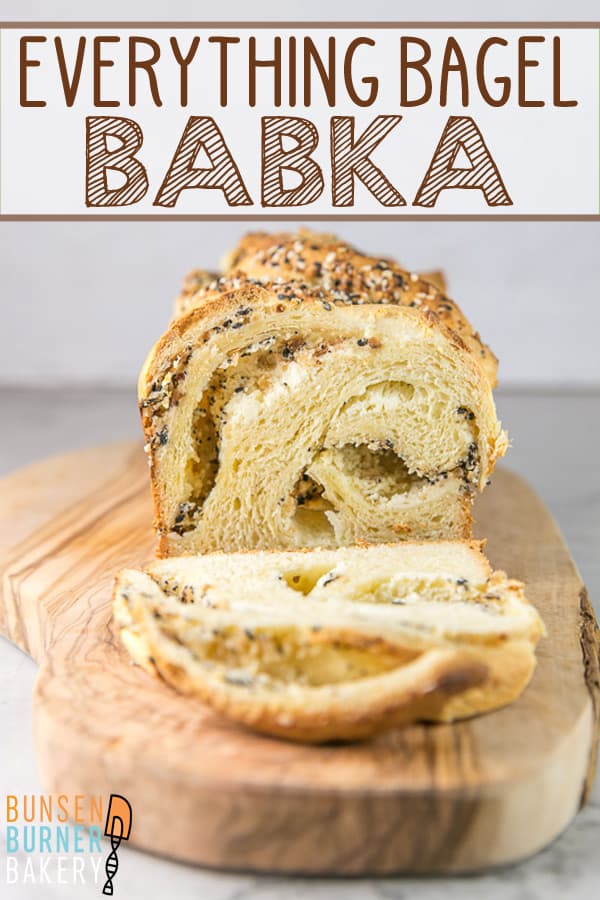 Everything Bagel Babka: filled with swirls of cream cheese and classic everything bagel seasonings, this savory babka is the perfect garlicky, oniony, salty, cream cheese swirly, breakfast, dinner, or anytime snack! #bunsenburnerbakery #babka #yeastbread #everythingbagel 