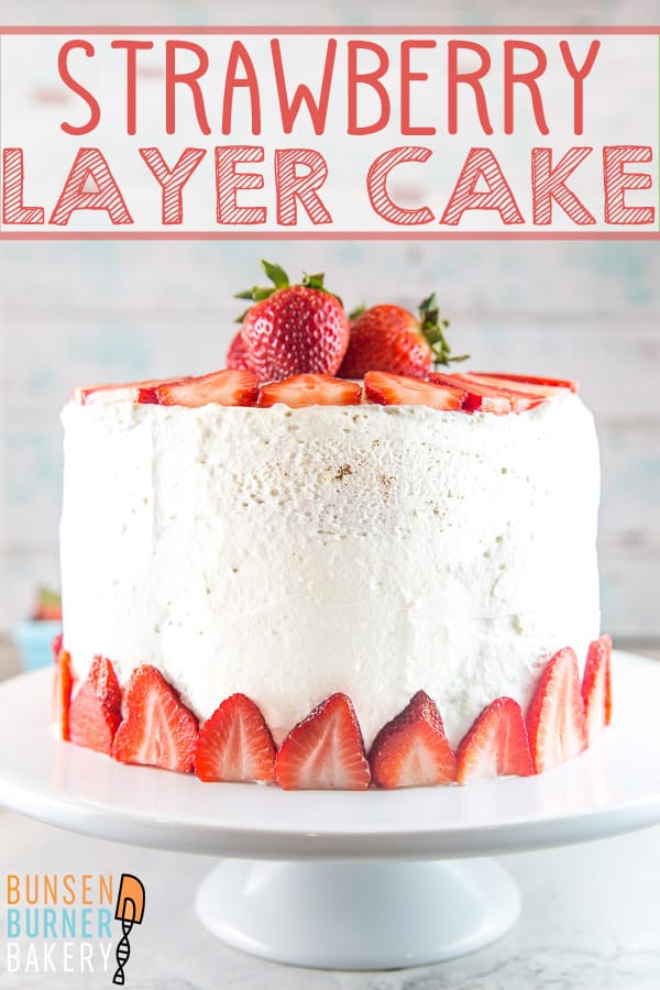 Strawberry Layer Cake with Whipped Cream Frosting: Perfect for all your summer celebrations, this strawberry layer cake is made entirely with real strawberries and filled with thick layers of homemade strawberry puree.