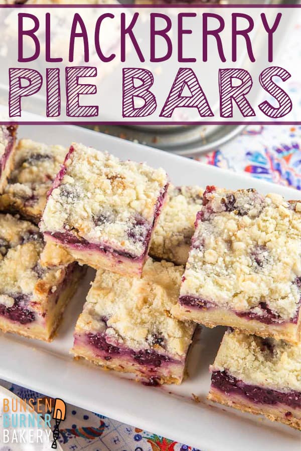 Blackberry Pie Bars: everything you love about a custardy blackberry pie, in an easy to make, easy to share form. 