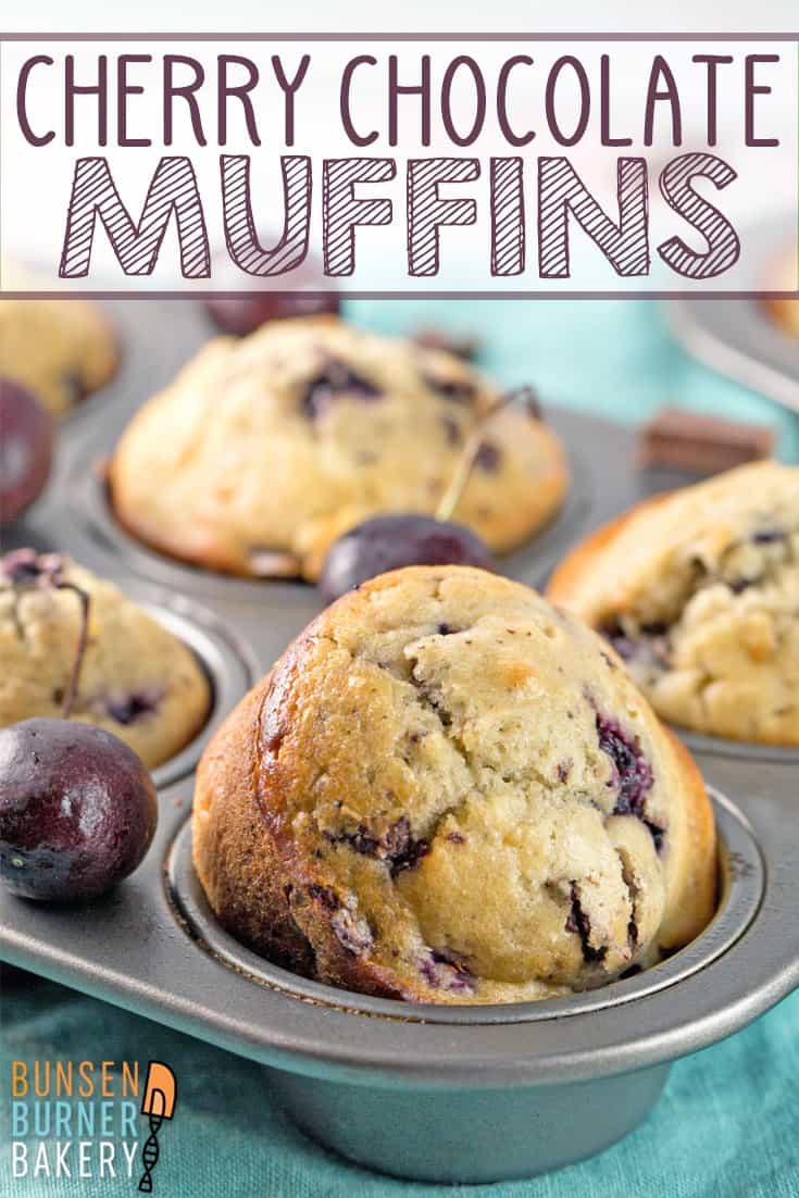 Cherry Chocolate Chunk Muffins: A one bowl, mix by hand, easy muffin recipe filled with sweet fresh cherries and dark chocolate chunks