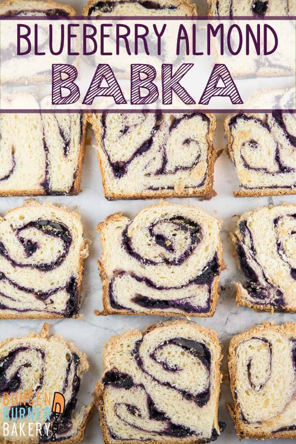 Blueberry Babka with Almond Streusel: homemade blueberry jam swirled in a rich babka dough, topped with crunchy almond streusel.  With step-by-step photos and instructions, this blueberry babka recipe is easy enough for even new bakers!