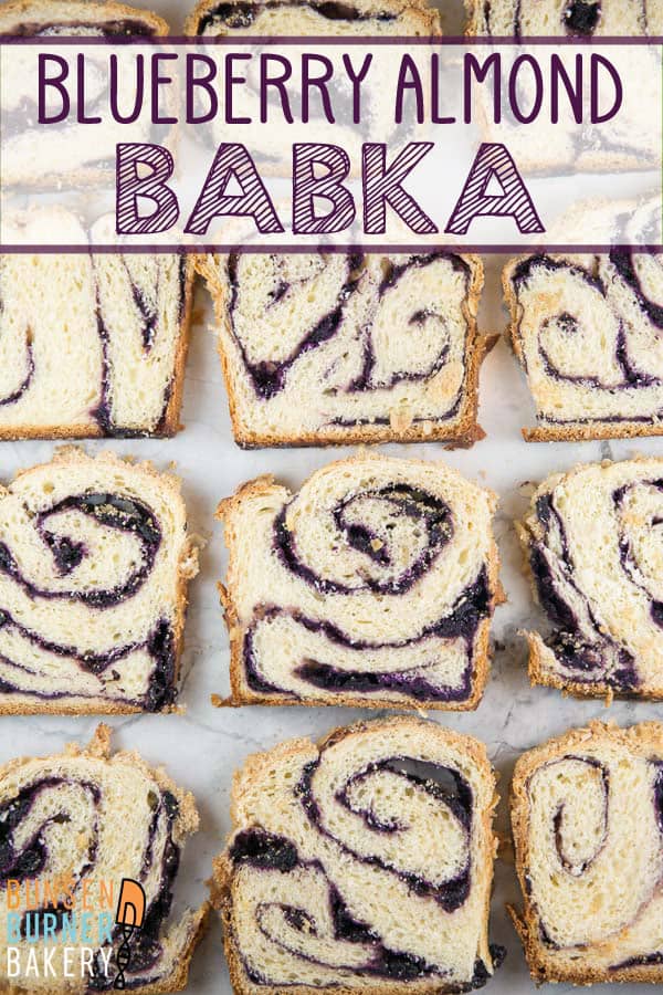 Blueberry Babka with Almond Streusel: homemade blueberry jam swirled in a rich babka dough, topped with crunchy almond streusel. With step-by-step photos and instructions, this blueberry babka recipe is easy enough for even new bakers!