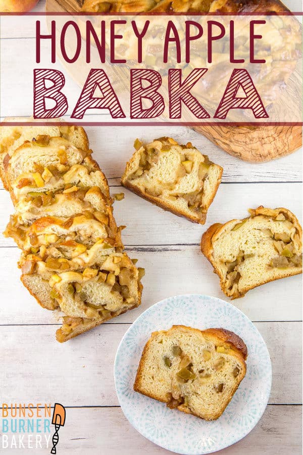 Honey Apple Babka: Full of cinnamon and honey, this apple babka is perfect for fall! Step-by-step instructions make this a no-fail yeast bread project even for beginning bakers.