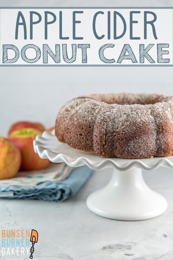 Apple Cider Donut Cake: Soft, tender, and moist, this apple cider donut cake is easy and simple to make with a secret trick to impart extra apple cider flavor! It's like a supersized version of everyone's favorite fall donut treat! #bunsenburnerbakery #cake #applecake #appleciderdonut #bundtcake