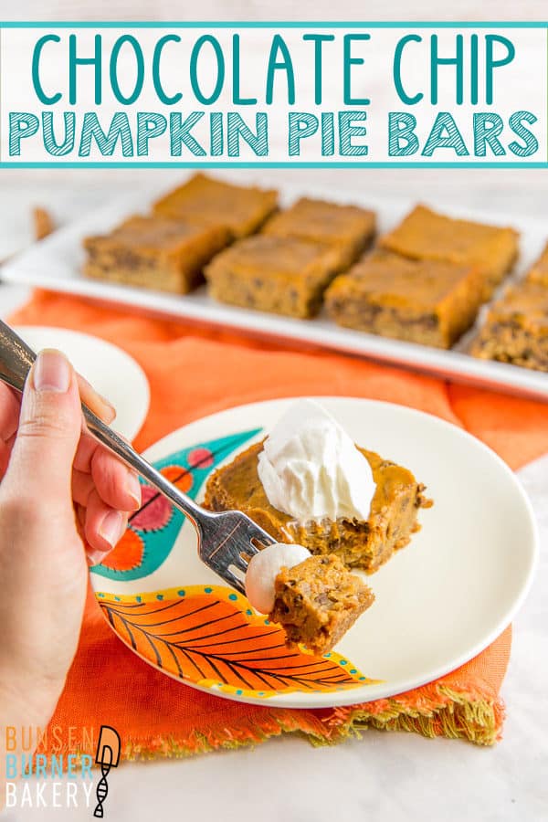 These made-from-scratch creamy pumpkin pie bars with a graham cracker crust are perfect for holiday parties and potlucks. An easy freezer-friendly recipe so you can make them ahead of time, too!