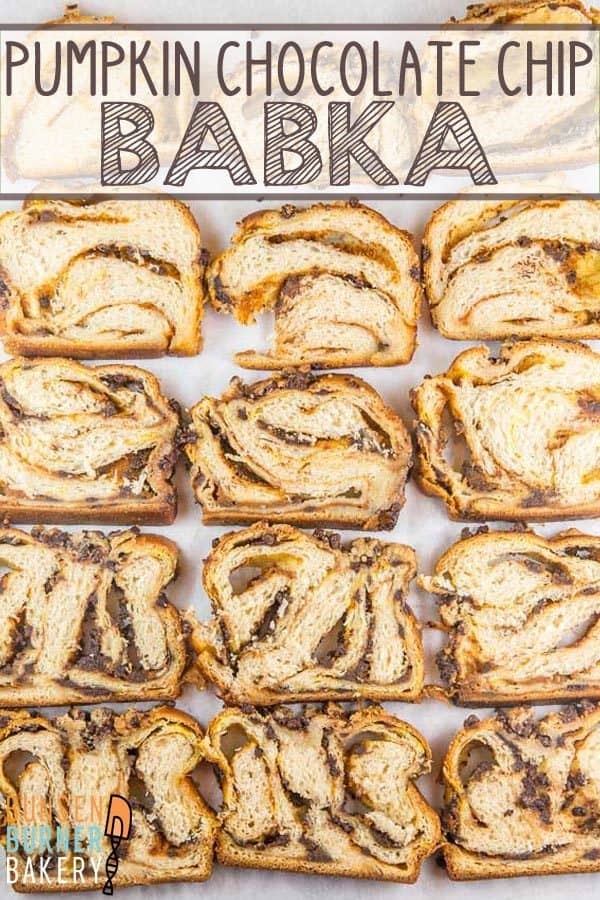 Pumpkin Chocolate Chip Babka: Filled with pumpkin puree, pumpkin pie spices, and chocolate chips and covered with a chocolate chip streusel, this pumpkin chocolate chip babka is a fall take on everyone's favorite chocolate babka.