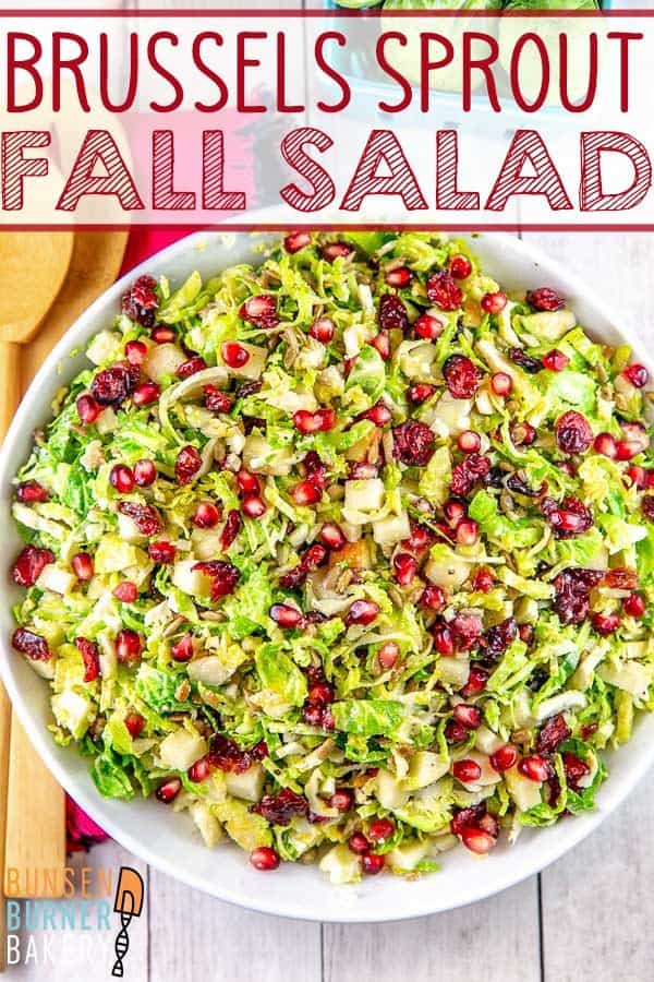 Shaved Brussels Sprout Salad: Full of shredded brussels sprouts, apples, pomegranate arils, and sunflower seeds, this make-ahead salad is quick enough for a weeknight but fancy enough for a holiday dinner. #bunsenburnerbakery #salad #brusselssprouts #vegetables
