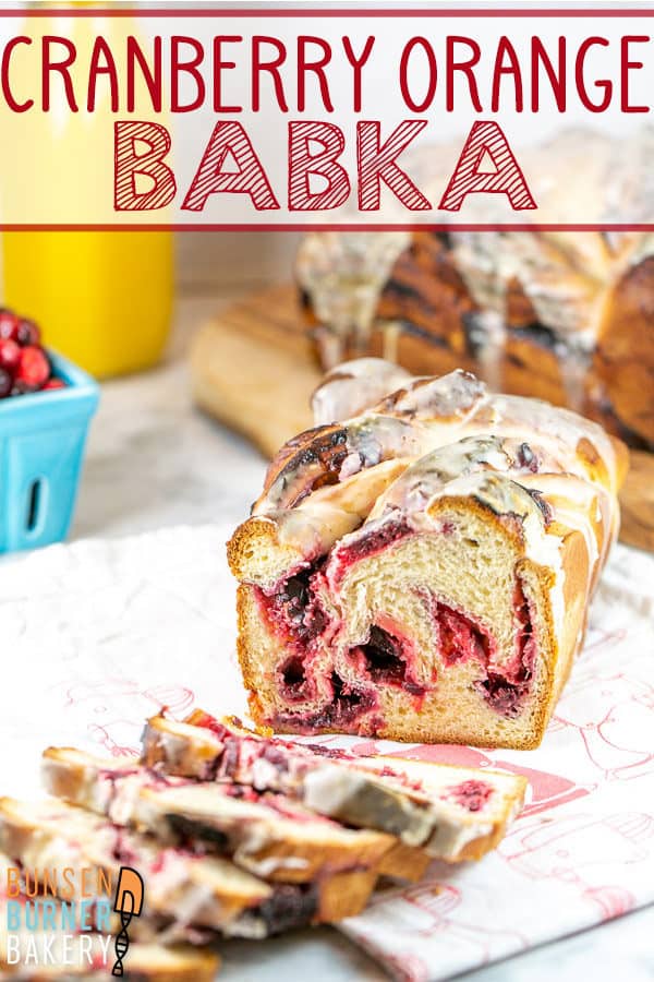 Cranberry Orange Babka: Full of homemade cranberry orange filling and topped with an orange glaze, this homemade babka bread is perfect for fall and winter holidays. With easy to follow instructions and tips to make ahead or spread the baking over several days, this is the perfect babka for beginners, too! #bunsenburnerbakery #bread #yeastbread #babka #cranberries #cranberryorange