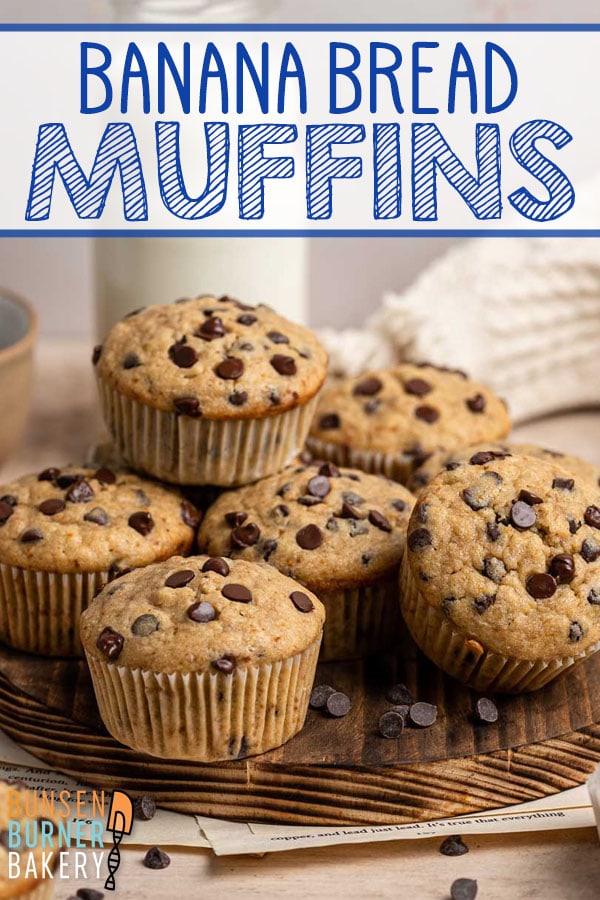 Chocolate Chip Banana Bread Muffins: This easy, one bowl, mix by hand recipe yields super moist muffins, reminiscent of your favorite banana bread. Plus adaptations to make them whole wheat, low sugar, or vegan!