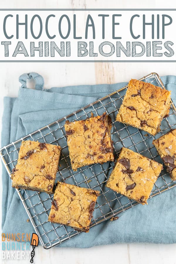 Chocolate Chip Tahini Blondies: Easy to make and unexpectedly delicious, these salted chocolate chunk tahini blondies will be your new favorite (dairy free!) treat. A little gooey and chewy, it's like the grown up version of a peanut butter cookie bar.