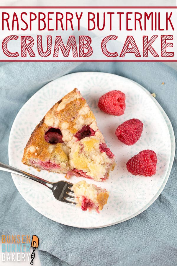 Raspberry Crumb Cake: an easy buttermilk coffee cake recipe swirled with homemade jam and topped with raspberries and a cinnamon streusel topping.  Perfect for dessert... or breakfast! #bunsenburnerbakery #raspberrycake #crumbcake #coffeecake