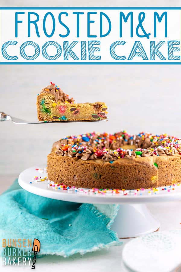 M&M Cookie Cake: this easy cookie cake recipe makes one GIANT cookie in the form of a cake - perfect for any birthday, celebration, or party! The cookie is thick and soft and decorated with whipped chocolate ganache frosting - and lots of M&Ms and sprinkles!