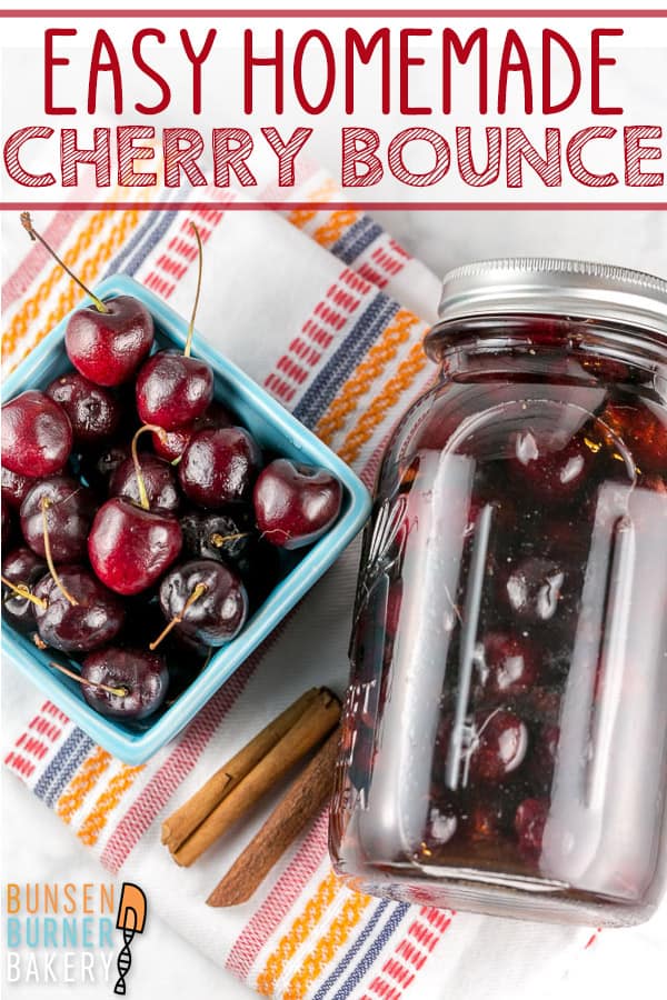 Cherry Bounce Recipe: directions on how to make this easy homemade liquor, using fresh cherries and whiskey, vodka, brandy, or another alcohol of your choice. Perfect for sipping or cocktails!