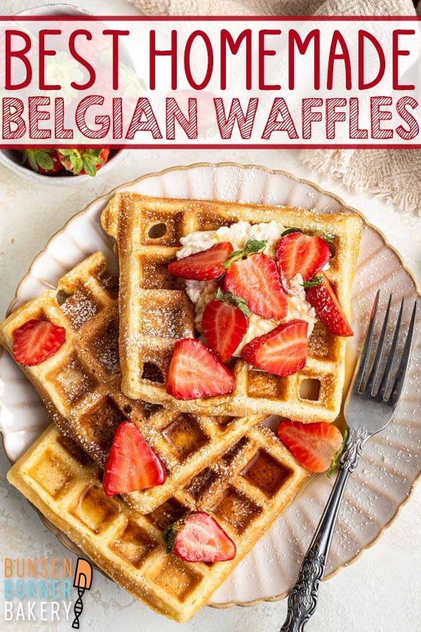 Crunchy on the outside and fluffy on the inside, these homemade Belgian waffles are the BEST breakfast treat. Delicious plain or piled high with your favorite toppings!