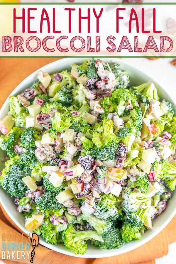 Fall Broccoli Salad: This easy recipe for healthy broccoli salad is full of fall favorites, like apples, pecans, cranberries, and pomegranate arils with a creamy homemade Greek yogurt dressing.