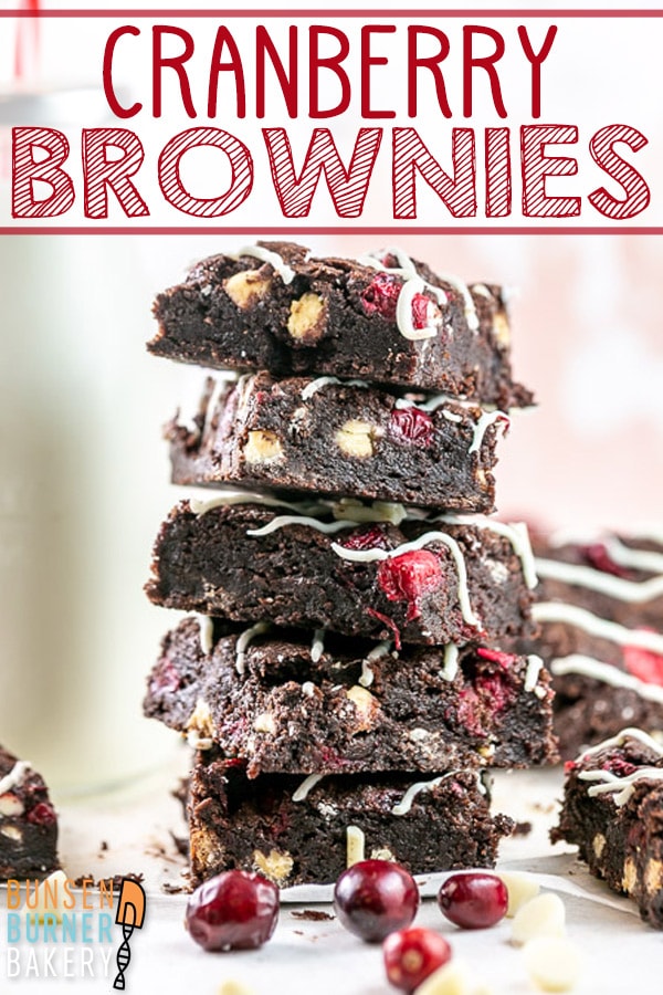 Cranberry Brownies: Rich, fudgy brownies filled with fresh (or frozen) cranberries and white chocolate chips with a white chocolate drizzle. If you love the sweet-tart pop of cranberries, you'll love these brownies! #bunsenburnerbakery #brownies #cranberries