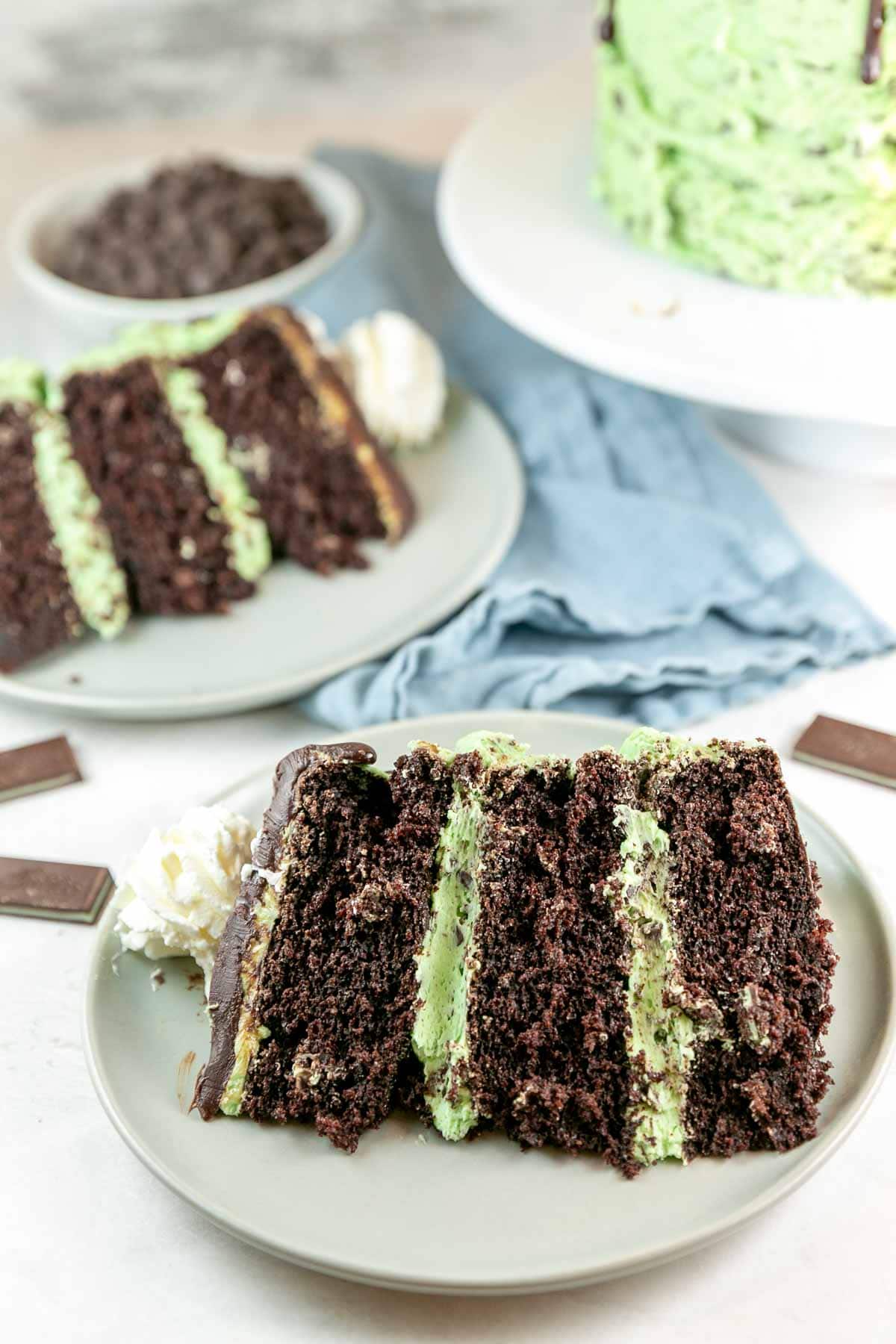 slice of three layer chocolate cake on its side with stripes of green mint frosting