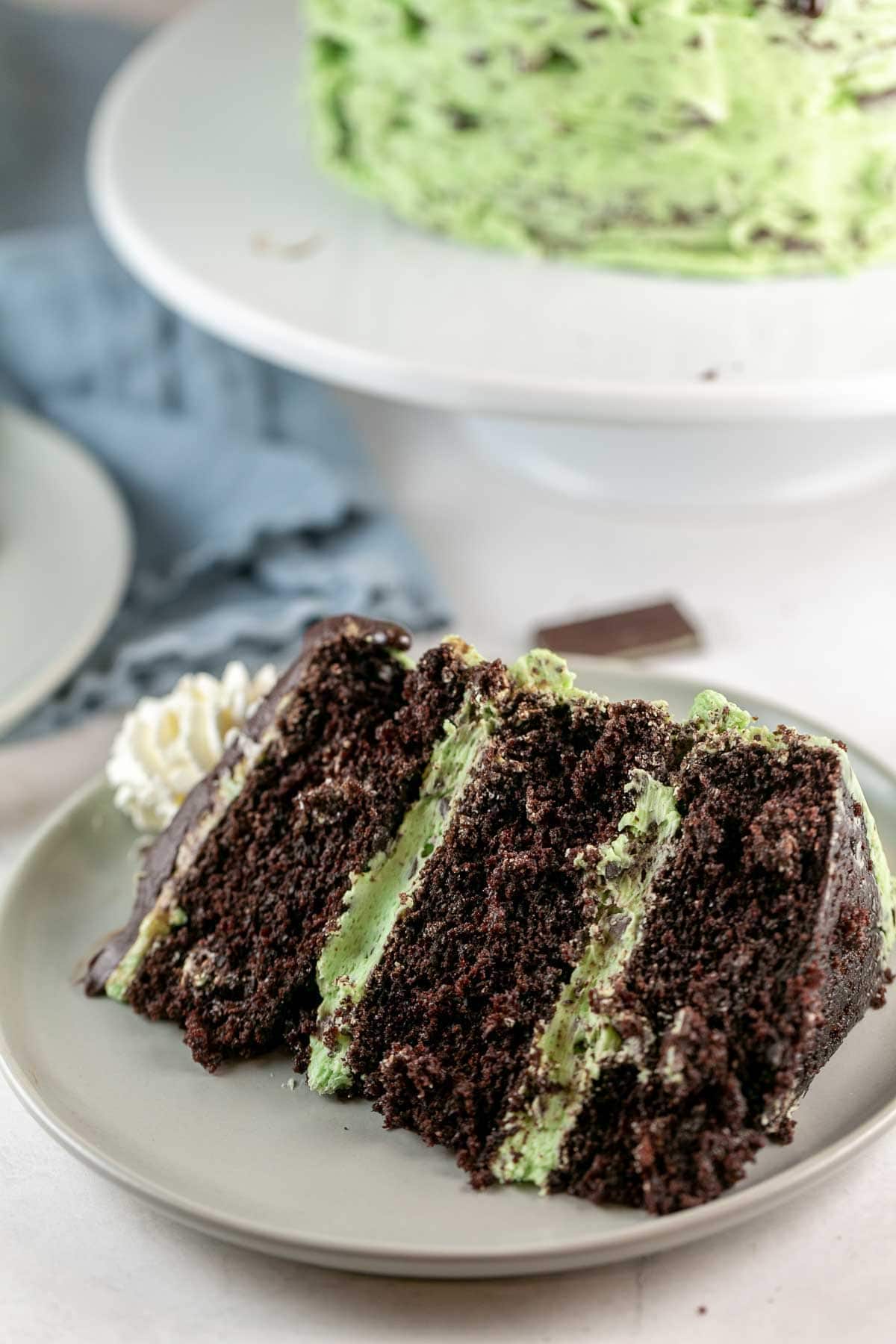 large slice of chocolate cake with mint chocolate chip frosting