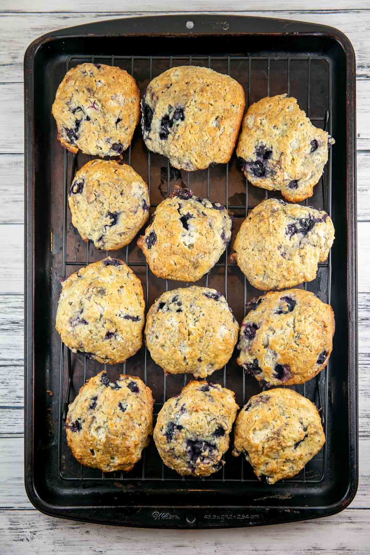 unglazed lemon blueberry scones on a sheet pan