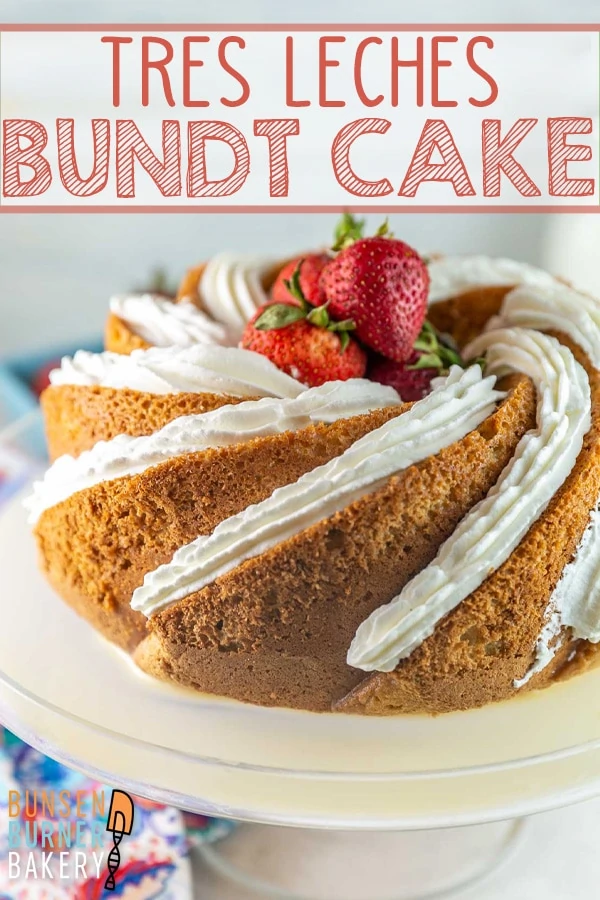 Tres Leches Bundt Cake: Adapt a traditional easy tres leches cake recipe into a beautiful bundt cake! Sponge cake soaked in three types of milk and covered with whipped cream - perfect for birthdays or celebrations.
