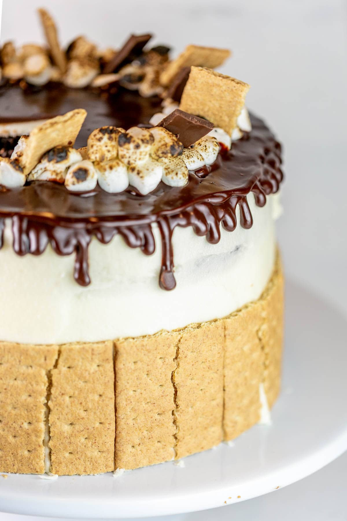 decorated s'mores cake with a ring of toasted marshmallows on top