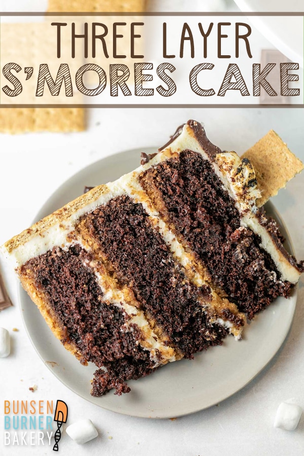 S'mores Cake: With a graham cracker crust, moist chocolate cake, marshmallow fluff buttercream, milk chocolate ganache, and toasted marshmallow topping, this three layer s'mores cake is the ULTIMATE cake for s'mores lovers!