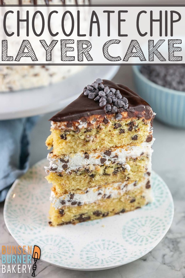 Chocolate Chip Cake: Three layers of chocolate chip cake surrounded by fluffy chocolate chip buttercream, this easy cake recipe is just waiting for your next birthday or celebration!