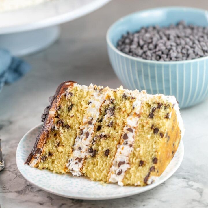side view of a slice of three layer chocolate chip cake