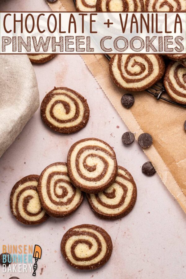 Pinwheel Cookies: An easy, simple recipe for the best cookies! The perfect combination of soft and crispy, chocolate and vanilla, fun to make and visually stunning. Delicious for Christmas or any time of year!
