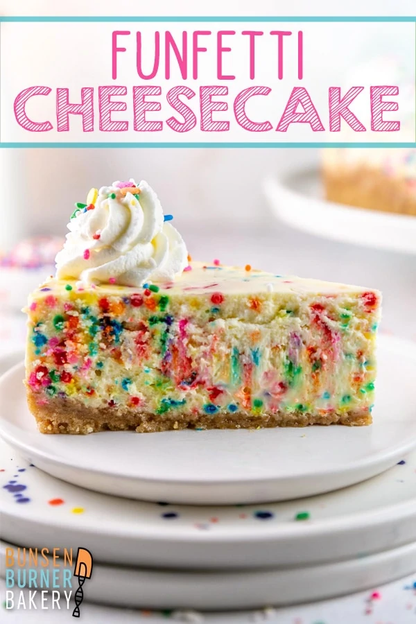 Funfetti Cheesecake is fun, festive, and full of sprinkles - this easy, dreamy creamy cheesecake has the PERFECT texture and is just ready for your next celebration!