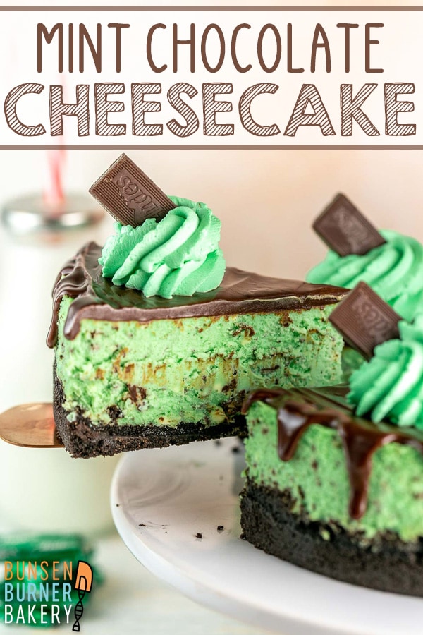Mint Chocolate Cheesecake: With an Oreo crust, mint chocolate chip filling, chocolate ganache, and mint whipped cream, this cheesecake is ready for birthdays and celebrations! Easy recipe directions for a PERFECT cheesecake every time!