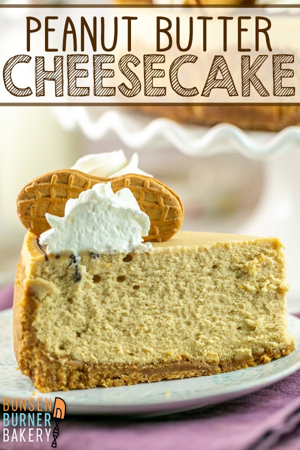 Peanut Butter Cheesecake: If you love peanut butter and cheesecake, you need this easy recipe! Nutter Butter crust, swirls of melted chocolate and peanut butter, and dollops of fluffy whipped cream - this cheesecake has it all!