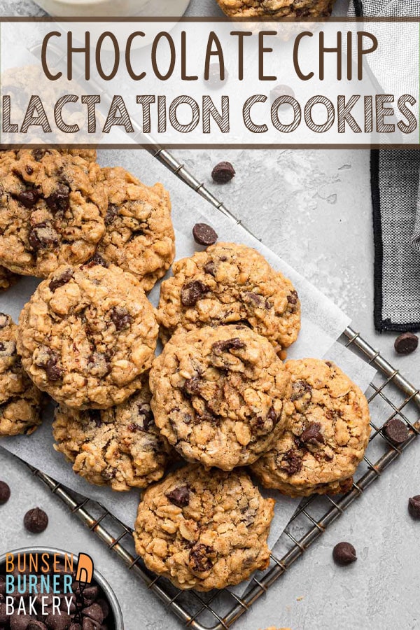 Oatmeal Chocolate Chip Lactation Cookies: bake up a batch of these delicious galactagogue-filled treats to boost milk supply for the breastfeeding moms in your life.