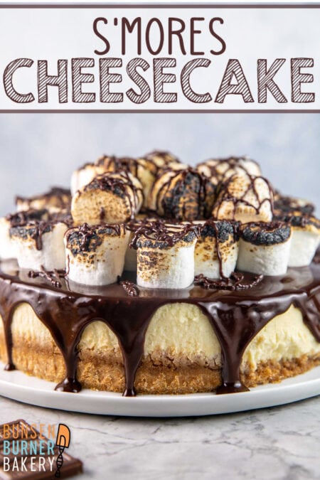 S'mores Cheesecake: With a graham cracker crust, marshmallow cheesecake, milk chocolate ganache, and a big pile of toasted marshmallows, this easy cheesecake recipe perfectly combines all the classic s'mores flavors.