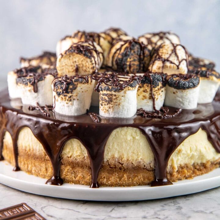 s'mores cheesecake topped with a big pile of toasted marshmallows