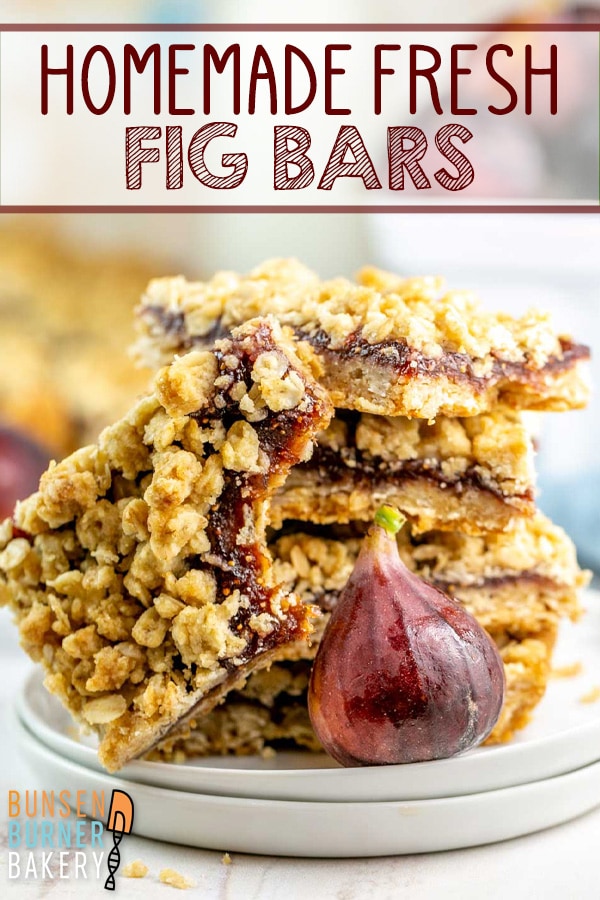 These Homemade Fig Bars feature a jammy fresh fig filling sandwiched between a crunchy, chewy oatmeal crust. Skip the store-bought and make your own delicious and easy fig bars at home!