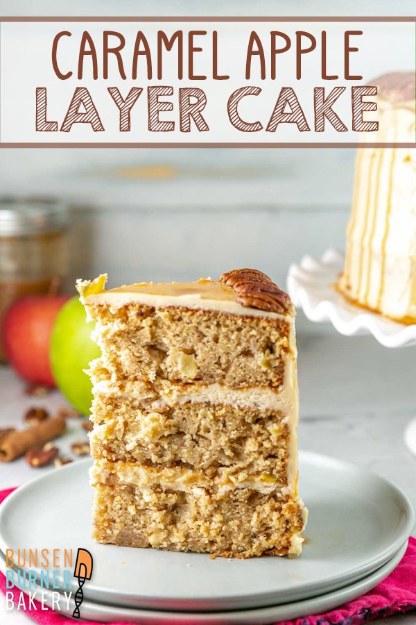 This Caramel Apple Cake is perfectly spiced with three delicious layers of cake and a salted caramel frosting layered in between. The perfect cake for all your fall celebrations!