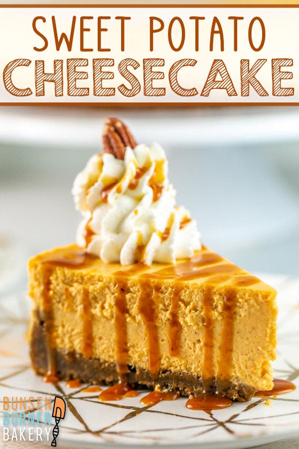 With a gingersnap crust and classic warming fall spices, Sweet Potato Cheesecake is deliciously light and fluffy and full of freshly-roasted sweet potatoes.