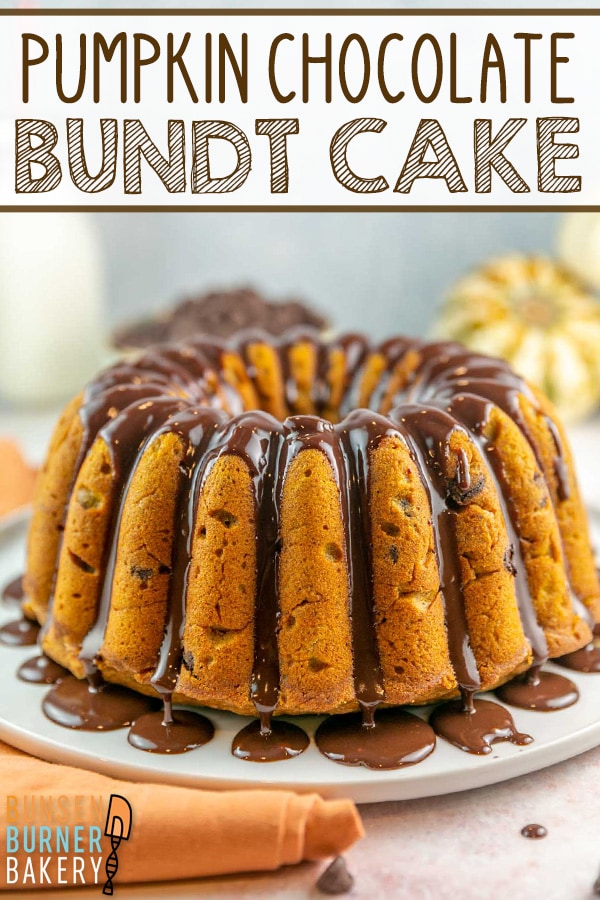 Pumpkin Chocolate Chip Bundt Cake is an easy spiced pumpkin cake recipe decorated with a chocolate ganache glaze. Perfect all fall long!