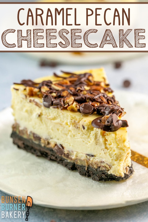 This Turtle Cheesecake recipe features a crispy Oreo crust with loads of caramel, chocolate, and pecans to create a cheesecake that is sweet, nutty, and perfect for any occasion!