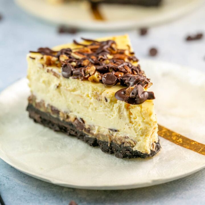 Turtle Cheesecake