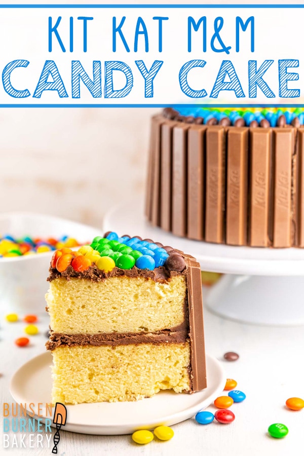 This festive and beautiful M&M Candy Cake is surprisingly easy and oh so delicious. With tender vanilla cake, decadent chocolate frosting, and your favorite candy as decoration, this cake is sure to be a hit. It doesn't matter your age, this cake is super fun with candy in every bite!