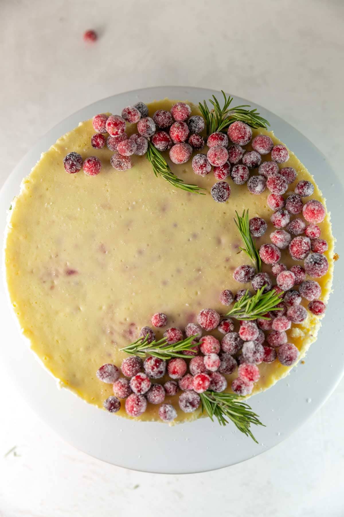 overhead view of a white chocolate cheesecake decorated with sugared cranberries and sprigs of rosemary.