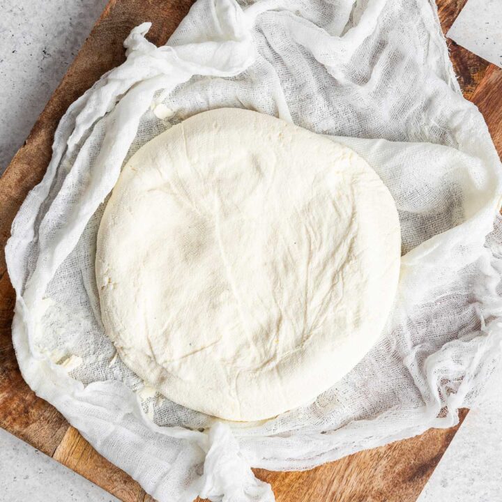 Homemade Paneer