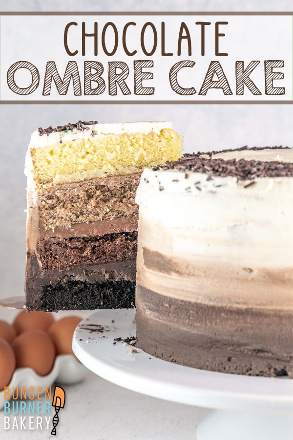 Chocolate lovers unite! This four layer Ombre Chocolate Cake is just as delicious as it is beautiful! This is a stunning cake to make for any birthday or celebration.