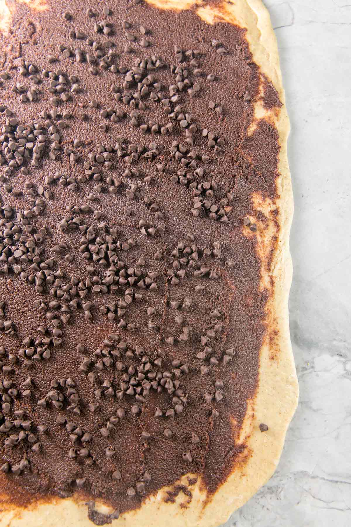 chocolate cinnamon filling spread out on rolled out babka dough